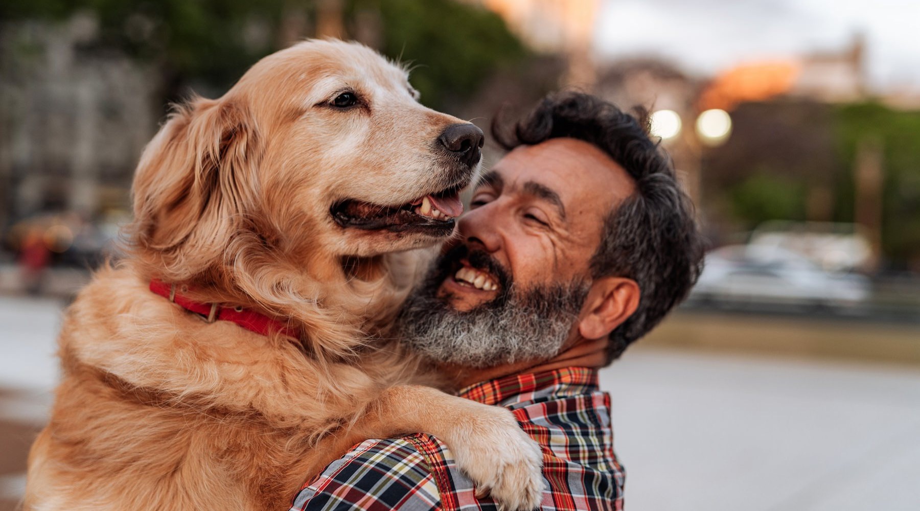 We welcome your pet family a man and a dog