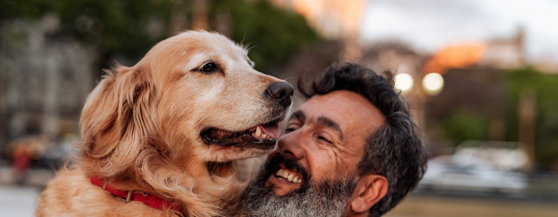 a man and a dog